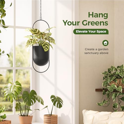 Bamworld Black Hanging Planters for Indoor Outdoor Plants Metal Hanging Pots for Plants 5.5 Inch Modern Hanging Baskets Window Plant Hanger Ceiling Hanging Flower Pots with Chain for Wall Decor - size: Oval - 5.5in