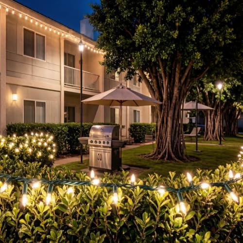 100 LED Warm White Green Wire Christmas String Lights, UL Certified and Commercial Decorative Lighting String 35 Ft, for Indoor Outdoor Christmas Trees, Patio, Trees. - color: Warm1