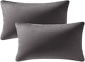 Lumbar Pillow Covers 12x20 Dark-Grey: Pack of 2 Cozy Soft Velvet Rectangular Modern Luxury Decorative Throw Pillow Cases for Sofa Couch Living Room Bed Home Decor