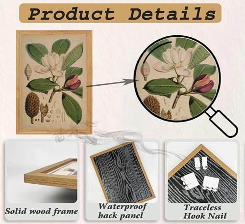 Framed Vintage Magnolia Botanical Wall Art, Antique Plant Floral Illustration Canvas Print Poster, Flower Nature Wall Decor for Living Room Bedroom, Rustic Home Decoration, - color: Green flowers, size: 24"L x 16"W