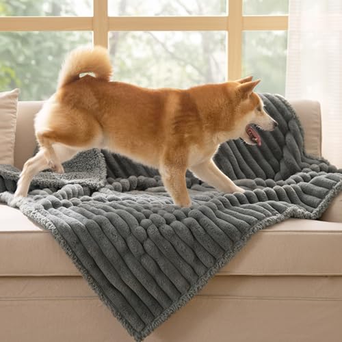 Bedsure ComfyFleece™ Waterproof Dog Blankets for Large Dogs - Soft Pet Cat Blanket Corduroy Fleece for Couch Protector Washable, Cozy Calming Reversible Furniture Protection,40"x50", Warm Grey - color: Warm Grey, size: L(40x50")-1pc