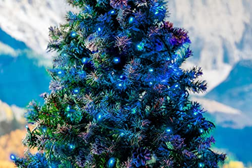 Novelty Lights 25ft 50 LED Teal Christmas Lights Outdoor/Indoor, 6" Spacing, Green Wire String Lights for Festive Xmas Lighting, IP55, UL Listed, Dimmable, Connectable - color: Teal