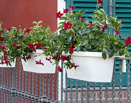 Apollo Exports International AP-30312 24" Adjustable Railing Planter, Ratan Look, White