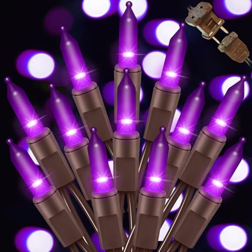 LAMPHOME Halloween Purple String Lights, 100 Mini Fairy Lights Set, Brown Wire 20Ft Traditional Halloween Holiday Décor for Home, Christmas Tree, Bedroom, Patio, Wedding - color: Purple