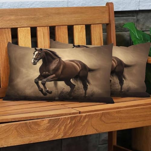 EKOBLA Black Stallion Horse Pillow Cases Throw Pillow Covers Run Gallop in Desert Storm Square Throw Waist Pillow Case Cushion Cases for Sofa Bedroom Living Room 12x20 Inches - color: Multi-bs10, size: 20" x 12" (Pack of 1)