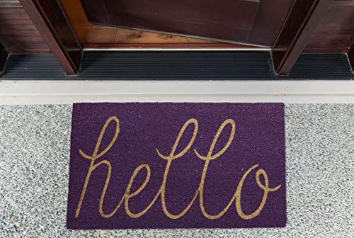 DII Hello Coir Fiber Doormat Non-Slip Durable Outdoor/Indoor, Pet Friendly, 18x30, Purple - color: Purple