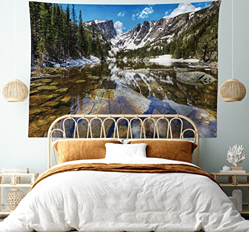 Ambesonne Landscape Tapestry, Dream Mirroring Lake at The Mountain Park in West America River Snow Print, Wide Wall Hanging for Bedroom Living Room Dorm, 80" X 60", Green Brown Blue - color: Green Brown Blue, size: 80"L x 60"W
