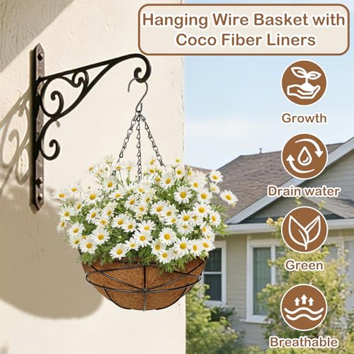 2 Pack 10 inch Metal Hanging Baskets for Plants Outdoor Metal Wire Hanging Basket Planter with Coco Fiber Liners Flower Pots for Home Porch Garden Patio, Diamond-Shaped - size: 10" x 2 Pack, style: Diamond