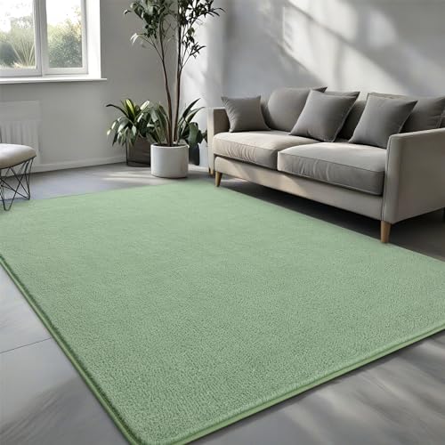 Pettop 4x6 ft Light Green Area Rugs for Bedroom Living Room, Washable Memory Foam Indoor Carpet, Modern Aesthetic Minimalist Non Slip Soft Comfy Carpet for Boys Girls Dorm Home Decor - color: Light Green, size: 4' X 6' (Rectangular)
