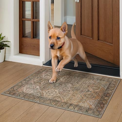 Bavni 2x3 Entryway Rug Bathroom Rugs for Front Door Bedroom Bathroom Kitchen, Washable Vintage Print Carpet, Ultra-Thin Chenille Lightweight Rug with Non Slip Backing, Warm Taupe - color: Area Warm Taupe, size: 2' x 3' (Rectangular)