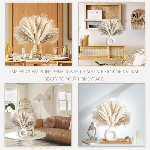 70PCS Natural Dried Pampas Grass Boho Home Decor Bouquet Phragmites Dried Flowers Bouquet for Wedding Floral Arrangements Living Room Decorations (70PCS) - size: 70 Pcs