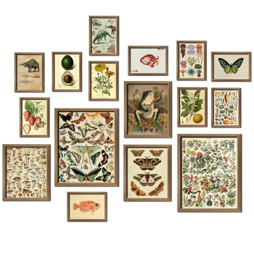 ANERZA 16 PCS Framed Vintage Wall Art Decor, Botanical Cottagecore Wall Prints for Bedroom, Gallery Wall Frame Set, Farmhouse Posters for Living Room Aesthetic, Rustic Dorm Home Collage Kit - color: Drab, size: 12"x15" Framed