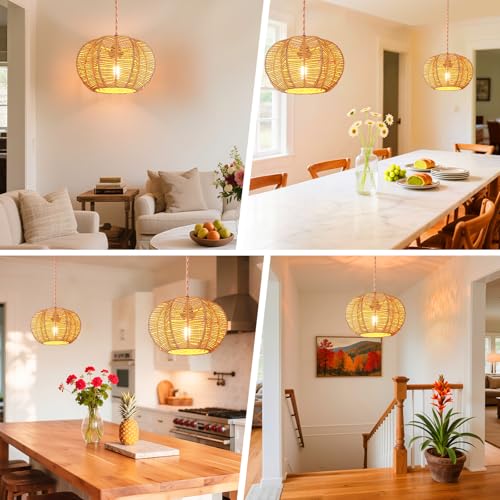 Hanging Light Fixture with Plug in Cord with on Off Switch, Rattan Pendant Lights Boho Lamp Ceiling Light, Plug in Pendant Light Hanging Lamp Shades for Living Room Decor Bedroom Kitchen - size: 11.8 Inch-Ball Cactus Shade