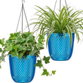 QCQHDU Hanging Planters for Indoor Plants, 2-Pack, 5.7 Inch, Klein Blue | Plastic, Self Watering, Plant Hanger, Drainage Holes, 3 Hooks Chains, For Garden Home