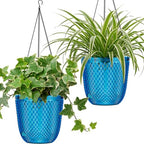 QCQHDU Hanging Planters for Indoor Plants, 2-Pack, 5.7 Inch, Klein Blue | Plastic, Self Watering, Plant Hanger, Drainage Holes, 3 Hooks Chains, For Garden Home