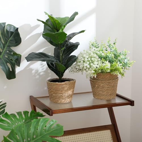 4 Pcs Straw Plant Baskets Indoor Rattan Woven Flower Baskets with Plastic Liner, Cattail Plant Planter for Indoor Outdoor Rustic Boho Home Farmhouse Floor Potted Pots Decor - color: Natural, size: M(7" Top D X 5.1" Bottom D X 5.1"h), style: Cattail