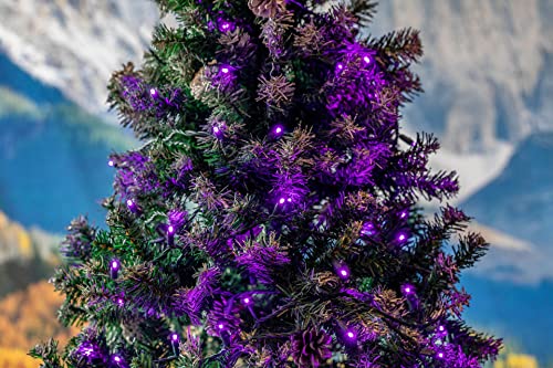Novelty Lights 25ft 50 LED Purple Christmas Lights Outdoor/Indoor, 6" Spacing, Green Wire String Lights for Festive Xmas Lighting, IP55, UL Listed, Dimmable, Connectable - color: Purple