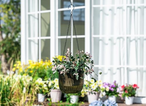 Josteve 6.5 Inch 2 Pcs Self Watering Hanging Planter Indoor Plant Pots Drainage Holes, Outdoor Hanging Planters Flower Pot Basket, Visible Water Level, Plant Hanger Home Decor, Gardening - color: Gray, size: 2*6.5 inch