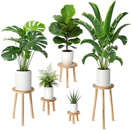 5-Pack Wood Plant Stands Indoor, Single Plant Stand for 6-22 Inch Pots, Mid-Century Modern Plant Stool, Tall Plant Stand for Large Plants Perfect Fit for Living Room, Balcony, Office (Light Brown) - color: Light Brown