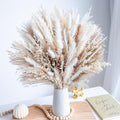 96PCS Natural Dried Pampas Grass Boho Home Decor Bouquet Phragmites Dried Flowers Bouquet for Wedding Floral Arrangements Living Room Decorations (96PCS) - size: 96 Pcs