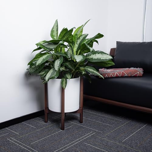 D'vine Dev Planter with Stand - 12 Inch Plastic Cylinder Flower Pot with Wood Holder for Indoor, Matte White Pot + Walnut Color Stand, 55-C-O-1 - color: Matte White Pot + Walnut Color Stand, size: 12 Inch