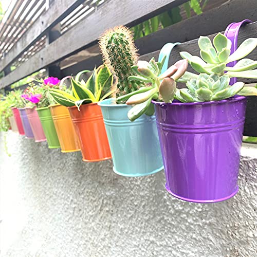 LaLaGreen Small Hanging Planters Outdoor - 10 Pack, 4 Inch Rainbow Planter Colorful Flower Pots Metal Iron, Rail Balcony Garden Deck Railing Plant Hanger Fence Wall, Herb Bucket Indoor Window Boxes - size: 4 Inch (Assorted)