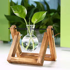 Kingbuy Plant Propagation Station Bulb Vase, 1 Bulb Vase | Air Plant Terrarium, Wooden Swivel Holder, Desktop Glass Planter, For Indoor Water Plants - size: 1 Bulb Vase