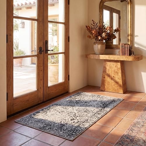SAFAVIEH Adirondack Collection Accent Rug - 2'6" x 4', Grey & Black, Distressed Vintage Floral Design, Non-Shedding & Easy to Clean, Ideal for Front Door, Kitchen, Entryway, Foyer (ADR109B) - color: Grey/Black, size: 2'6" x 4' (Rectangular)
