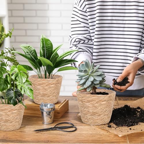 6 Pack Seagrass Planter Basket for Indoor Plants, 7 Inch Woven Plant Pot Cover with Leak-Proof Liner, Rustic Boho Flower Container for Home Decor, Organizing, and Concealing Nursery Pots