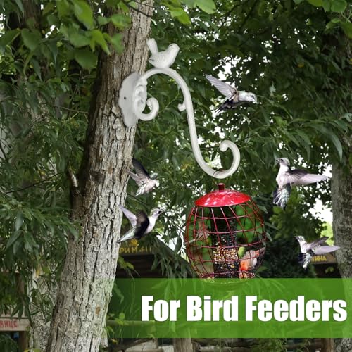 Moxweyeni 2 Pcs Cast Iron Plant Hangers Outdoor 10" Heavy Duty Hanging Basket Brackets Lovely Bird Shape Decorative Wall Hangers for Flower Pots Bird Feeder Wind Chime Lantern(White) - color: White