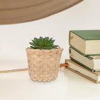 PRETYZOOM Mini Bamboo Storage Basket Woven Small Wicker Organizer for Succulent Plants Decorative Flower Container Portable Storage Basket for Home Party Use 3X3 Inches