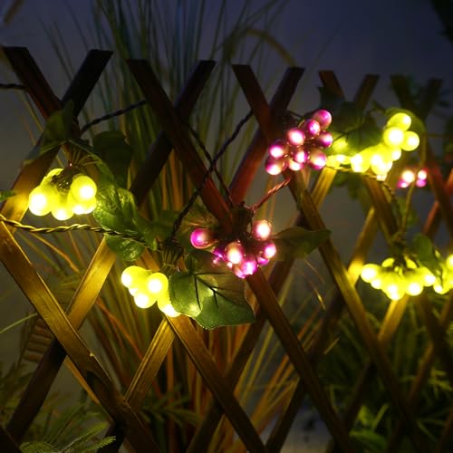Grape Vine String Lights, 100 LED Grape Lights, Fruit String Lights for Kitchen, Wine Cabinet, Home Decoration, 10 Cluster Purple and Green Grapes Christmas Lights (Green & Purple)