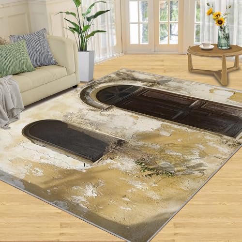 Worn Wall Area Rug 4x5 Washable Rug Distressed Art Rugs for Living Room Cracked Art Non Slip Carpet Floral Print Mat Bedroom Bathroom