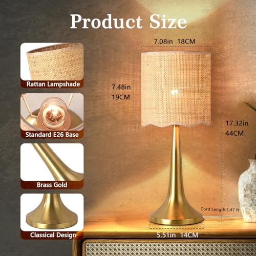 Ziqqeelam Gold Rattan Table Lamp for Bedroom, Brass Cute Wicker Lamps for Bedside Nightstand, Small Table Shape Lamps for Small Spaces for Kitchen Counter, Home Office, Living Room, Kids Dorm - color: Gold