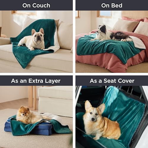 Bedsure Cat Blanket for Indoor Cats - Waterproof Calming Cat Blankets for Kitten, Sherpa Fleece Pet Blanket, Soft Plush Reversible Throw Furniture Protector, 35"x25", Green - color: Green, size: S(25x35")