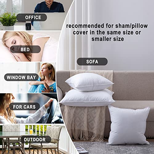 HITO 20x20 Pillow Inserts (Set of 4)- 100% Cotton Covering Down Alternative Throw Pillows White for Couch Bed Sofa - size: 20x20 Inch (Pack of 4)