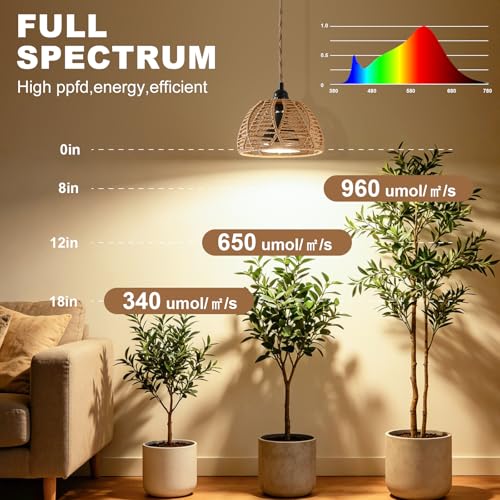 Hanging Grow Light, 30W LED Lamp with Timer for Indoor Plants | 4000K LED plant lamp with 15 ft cord, outlet timer, and boho paper rope shade for succulents, herbs, and low-light rooms. - color: Cage