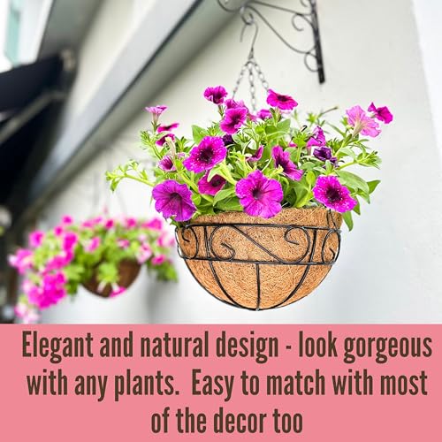 LaLaGreen Hanging Planter for Outdoor Plants (10 Inch, 2 Pack) Hanging Baskets with Coco Liner, Black Metal Wire Flower Basket Pots with Hook Hanger Balcony Porch Farmhouse Country Style Garden Decor - size: 10" x 2 Pack