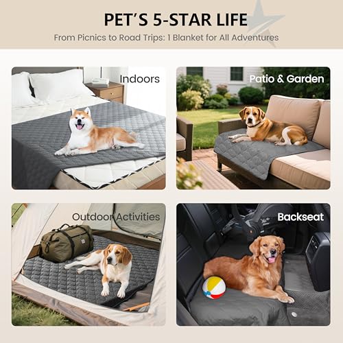 gogobunny 3X Stronger Waterproof Pet Blanket, Scratch Proof Furniture Protector for Dogs Cats, Reversible Cover 30x30 Inch, Dark Grey - color: Dark Grey, size: 30x30 Inch (Pack of 1)