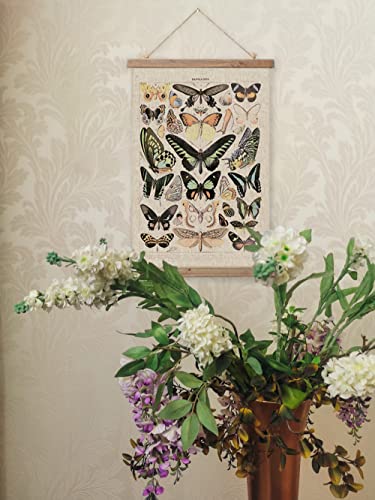 Vintage Butterflies Hanging Poster, Retro Style of Wall Art Prints, Printed on Linen with Wood Frames, Ready to Hang - color: Butterflies