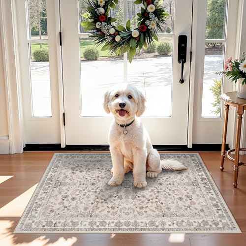 2x3 Non-Slip Washable Kitchen Rug – Boho Small Accent Rug for Sink & Entryway, Soft Low Pile Thin Carpet for Pet Area & Bathroom, Indoor Door Mat (Beige,2x3) - color: Beige, size: 2' x 3' (Rectangular)