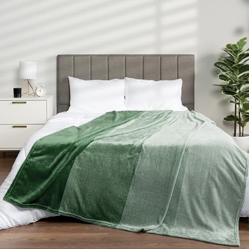 PAVILIA Green Ombre Fleece Throw Blanket 50x60, Soft Lightweight Flannel Blanket for Couch Sofa Bed, Plush Emerald Gradient Microfiber Decorative Throw Gift - color: Gradient - Green, size: 50 x 60 Inches - Throw