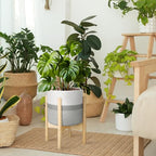 Plant Basket with Stand Indoor Planter Pot Holder Sturdy Jute Rope Modern Woven Basket, Cotton Rope Woven Pot with Bamboo Stand(10 Inch,White and Gray) - color: White and Gray, size: 10 Inch