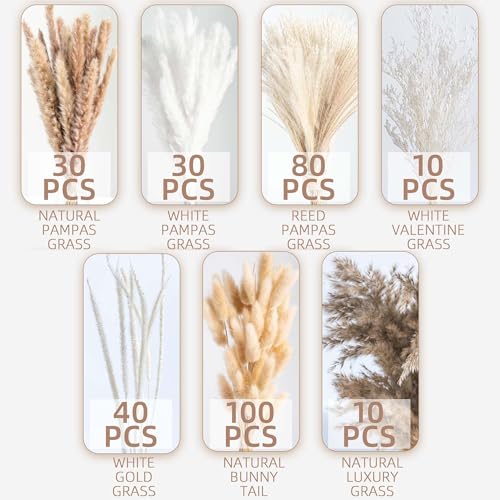 300PCS Natural Dried Pampas Grass Boho Home Decor Bouquet Phragmites Dried Flowers Bouquet for Wedding Floral Arrangements Home Decorations (300PCS) - size: 300 Pcs