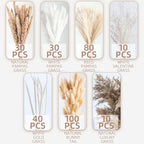 300PCS Natural Dried Pampas Grass Boho Home Decor Bouquet Phragmites Dried Flowers Bouquet for Wedding Floral Arrangements Home Decorations (300PCS) - size: 300 Pcs