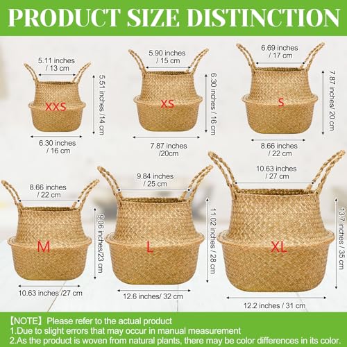 Qunclay 4 Pcs Woven Seagrass Baskets Belly Basket Folding Boho Natural Plant Pot with Handles Round Decorative Wicker Large Indoor Planter for Home Outdoor Tree Planters Decor (XXS,6.3''dx5.5''h) - size: XXS,6.3''Dx5.5''H