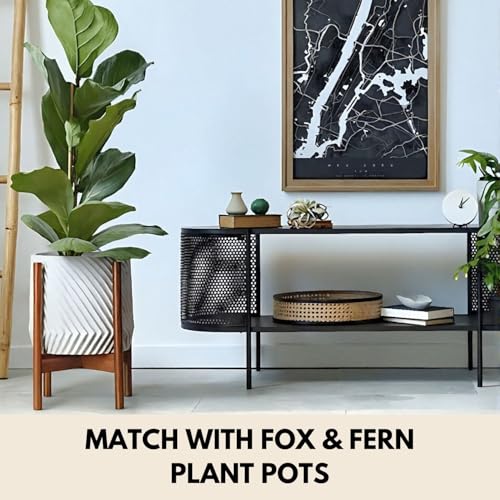 Fox & Fern Large Adjustable Plant Stand Indoor — 11 to 15 Inch Mid Century Bamboo Plant Stand - Plug In Design - Easy to Assemble - Two Heights - For 11, 12, 13, 14 & 15 Inch Pots (Not Included) - color: Polished Bamboo, size: 11 - 15 Inch - Adjustable