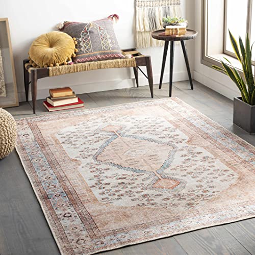 Hauteloom Stella Boho Vintage Area Rug - Farmhouse Traditional Medallion Carpet for Living Room, Bedroom - Machine Washable - Tan, Pink, Peach, Sage, Blue, Cream - 6'7" x 9' (6x9) - color: Aqua, Black, Blush / Moora, size: 6'7" x 9' (Rectangular)