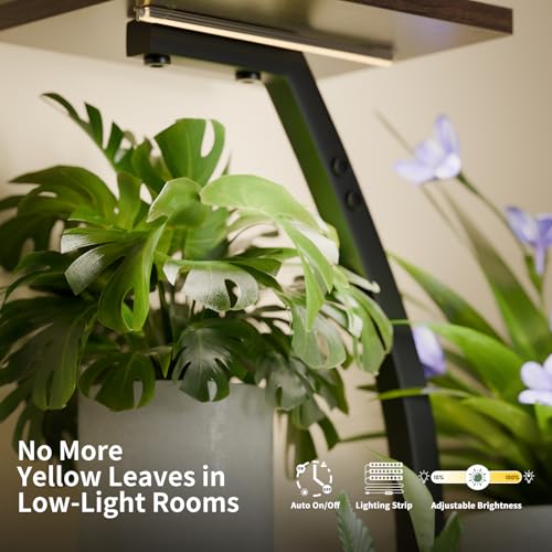 CODACE Plant Stand Indoor with Grow Lights, 6 Tiered Plant Shelf Indoor, 50" Corner Plant Stands for Indoor Plants, Lighted Tree-Shaped Plant Holder, Tall Flower Display Rack for Living Room - color: Black