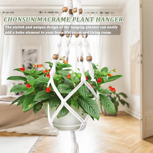 Hanging Planters for Indoor Plants 3 PCS Wall Plant Hangers Macrame Wall Hanging Outside Garden Decor - color: Beige 03